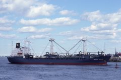 Thumbnail Image for Wilhelm Schulte oncontextmenu=