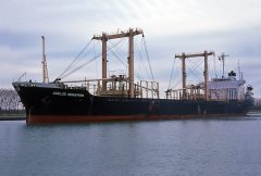 Thumbnail Image for Agelos Seraphim oncontextmenu=