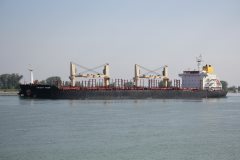 Thumbnail Image for Orient Tiger oncontextmenu=