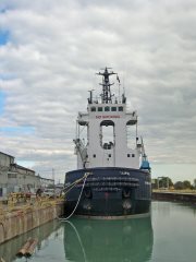 Thumbnail Image for Everlast style=