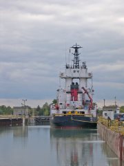 Thumbnail Image for Everlast style=