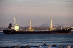 Thumbnail Image for Dixy Porr