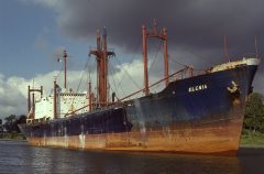 Thumbnail Image for Elenia oncontextmenu=