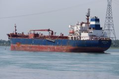 Thumbnail Image for Seasalvia oncontextmenu=