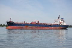 Thumbnail Image for Seasalvia oncontextmenu=