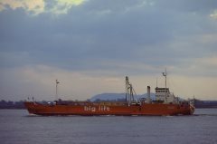 Thumbnail Image for Lady Sophie oncontextmenu=