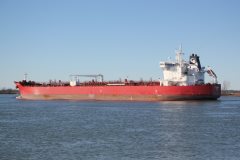 Thumbnail Image for STI Jardins