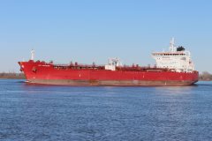 Thumbnail Image for STI Jardins