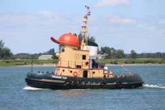 Thumbnail Image for Theodore Too oncontextmenu=