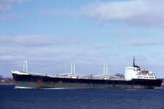 Thumbnail Image for Rozelbay oncontextmenu=