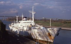 Thumbnail Image for Susie U. oncontextmenu=