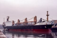 Thumbnail Image for Bonanza