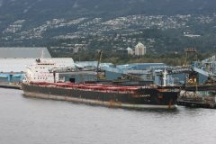 Thumbnail Image for Cinzia D'Amato