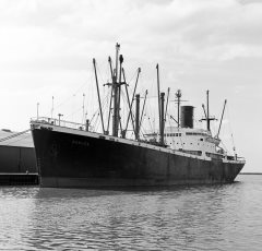 Thumbnail Image for Nanusa