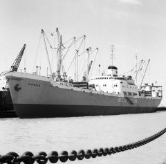 Thumbnail Image for Nardo