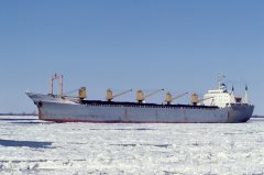 Thumbnail Image for Grace L.