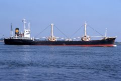 Thumbnail Image for Golden Star