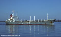 Thumbnail Image for Sakura Cob