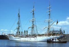 Thumbnail Image for Christian Radich