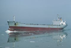 Thumbnail Image for Daniela