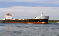 Thumbnail Image for Federal Mackenzie