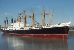 Thumbnail Image for African Dawn