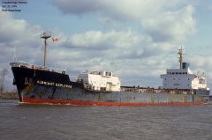 Thumbnail Image for Albright Explorer oncontextmenu=