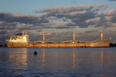 Thumbnail Image for Apiliotis oncontextmenu=