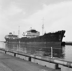 Thumbnail Image for Nora oncontextmenu=