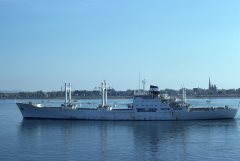 Thumbnail Image for Ceiba oncontextmenu=