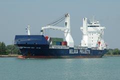 Thumbnail Image for Beluga Revolution oncontextmenu=