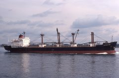 Thumbnail Image for Cornish City