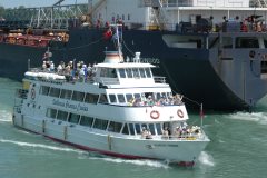 Thumbnail Image for Dalhousie Princess