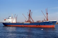 Thumbnail Image for Elkina