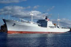 Thumbnail Image for Emanuel