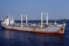 Thumbnail Image for Fotini D.E.