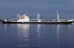 Thumbnail Image for London Cavalier