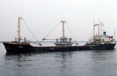 Thumbnail Image for Nikot oncontextmenu=