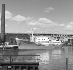 Thumbnail Image for Nordgard