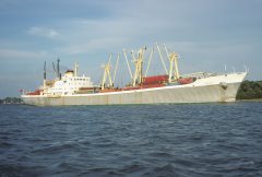 Thumbnail Image for Dicle oncontextmenu=