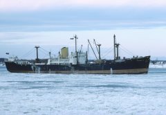 Thumbnail Image for Dumbaia oncontextmenu=