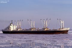 Thumbnail Image for Aegis Bravery oncontextmenu=