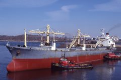 Thumbnail Image for Amilla