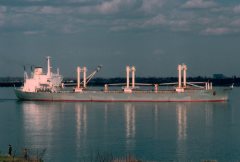 Thumbnail Image for Anthemios