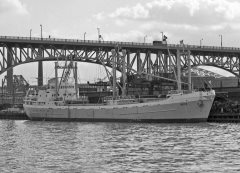 Thumbnail Image for Nyx oncontextmenu=