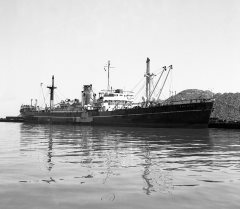 Thumbnail Image for Oak Hill oncontextmenu=