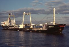 Thumbnail Image for Eldrid oncontextmenu=