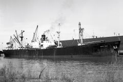 Thumbnail Image for Ocean Nimet oncontextmenu=