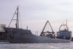 Thumbnail Image for Kings Star oncontextmenu=