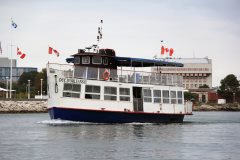 Thumbnail Image for Duc D'Orleans II